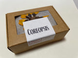 Coreopsis Pressed Petals - 11 flowers (22 prints)