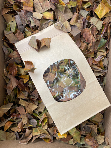 Dried Loquat Leaves - 50 grams