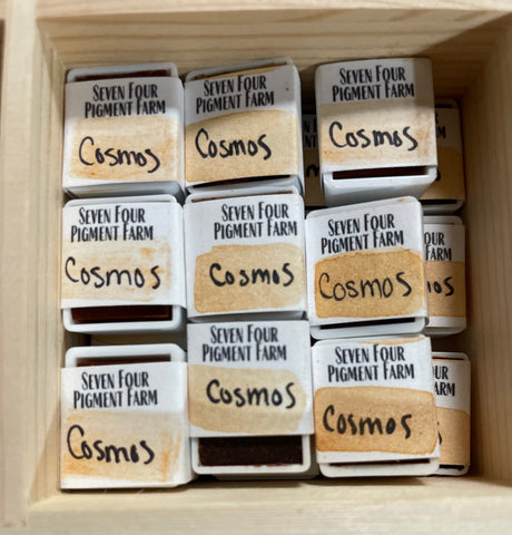 Cosmos Watercolor Paint E2304